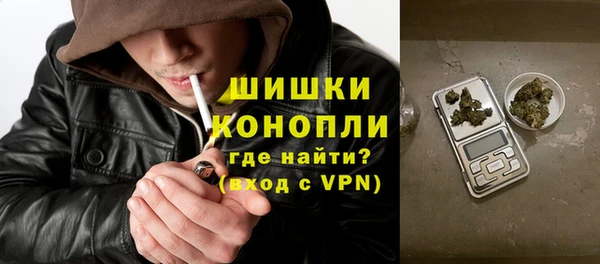 крисы Аркадак
