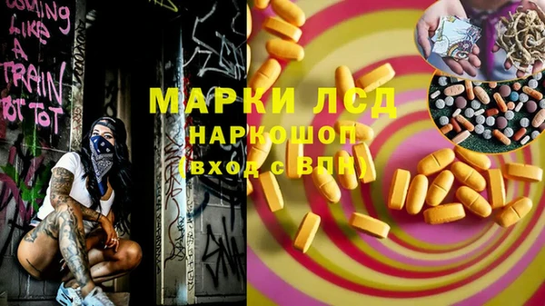крисы Аркадак