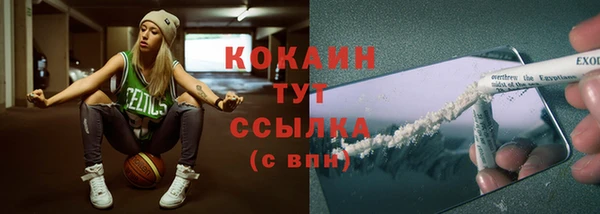 крисы Аркадак