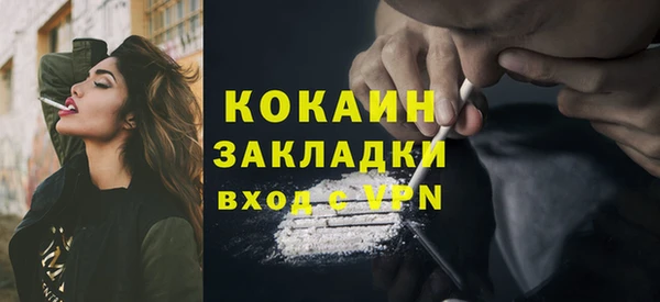 крисы Аркадак