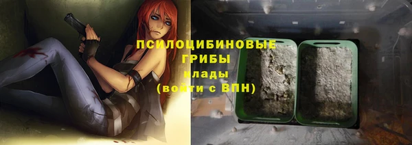 крисы Аркадак