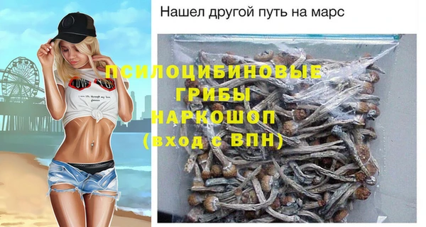 бошки Армянск