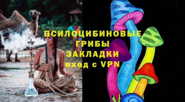 бошки Армянск