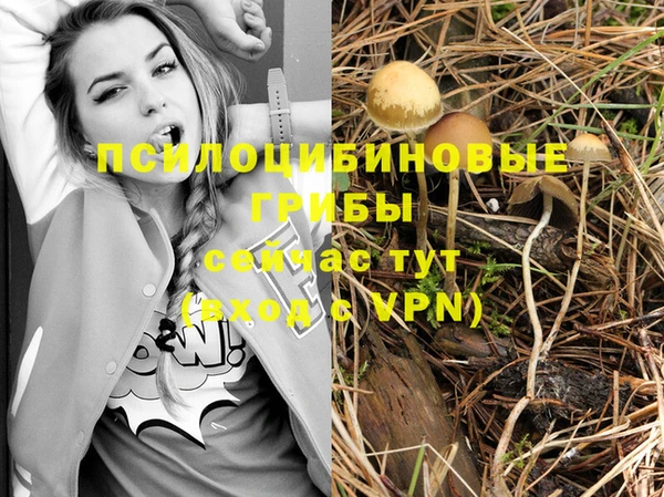 меф Арсеньев