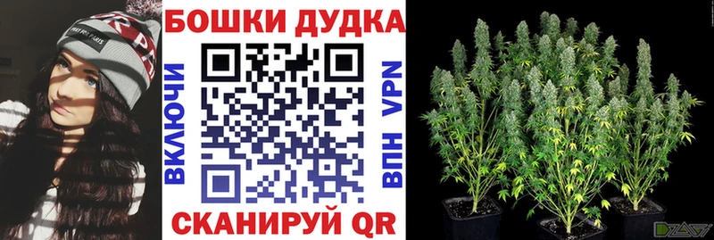 МАРИХУАНА White Widow  Людиново 